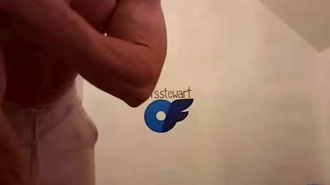 Snapshot of bigredmachine25 chatting on January 2025 12:45:01 AM Jarvis online show from January 2025 12:45:01 AM