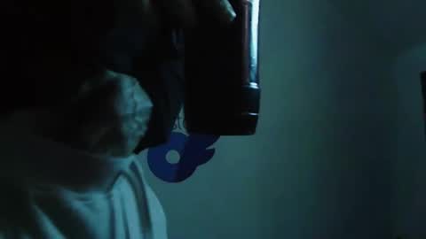 Snapshot of bigredmachine25 chatting on January 2025 01:45:02 AM Jarvis online show from January 2025 01:45:02 AM