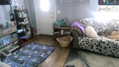 Skittles online show from February 2026 05:22:02 PM