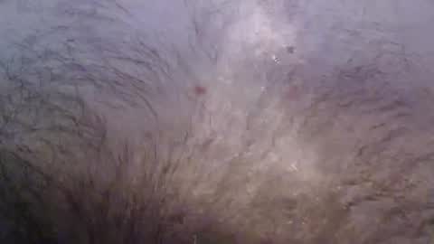 Snapshot of bigstudjohn22 chatting on November 2025 08:53:02 AM bigstudjohn22 online show from November 2025 08:53:02 AM