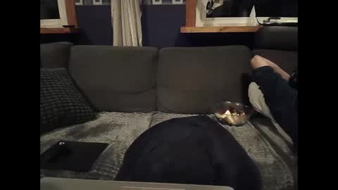 bigswe1 online show from March 2025 01:52:02 AM