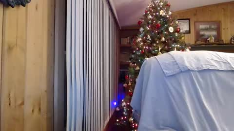 Snapshot of bigthicksatisfying2 chatting on January 2025 06:24:02 AM bigthicksatisfying2 online show from January 2025 06:24:02 AM