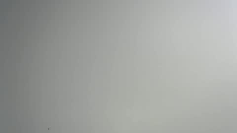 bigxcountry_39 online show from February 2026 03:36:02 AM