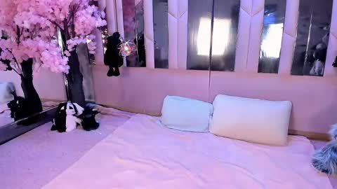 Snapshot of biizzy_noar chatting on May 2026 05:57:02 AM Biizzy online show from May 2026 05:57:02 AM