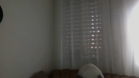 Snapshot of bilmapiedradura chatting on February 2025 07:59:02 AM Bill online show from February 2025 07:59:02 AM