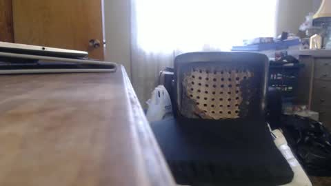 Bimbttm online show from December 2024 05:50:02 PM