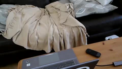 bindmedown online show from January 2025 10:55:01 AM