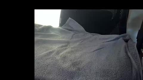 Snapshot of bislider chatting on November 2025 09:10:02 AM bislider online show from November 2025 09:10:02 AM