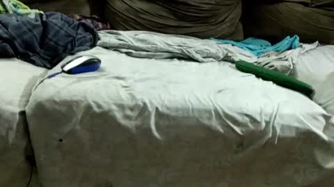 Snapshot of bismalldick679082 chatting on December 2024 11:18:02 AM boyslave online show from December 2024 11:18:02 AM