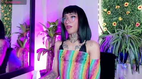  ..  .. online show from September 2025 03:28:02 AM