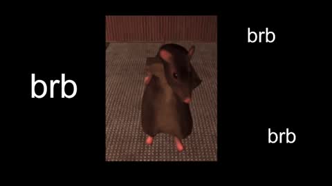 Snapshot of black_kittie_01 chatting on February 2025 11:06:02 AM Black Kittie Wednesday - 1300 - 1900 GMT help me get 100 thumbs up online show from February 2025 11:06:02 AM