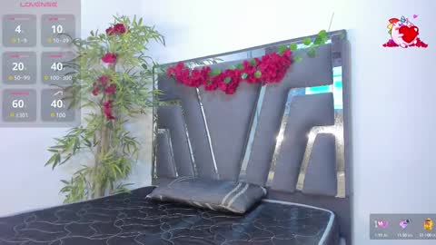 Snapshot of black_rose02 chatting on February 2025 11:28:02 AM B L A C K R O S E online show from February 2025 11:28:02 AM