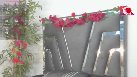 Snapshot of black_rose02 chatting on February 2025 11:31:01 AM B L A C K R O S E online show from February 2025 11:31:01 AM