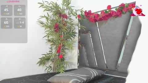 Snapshot of black_rose02 chatting on February 2025 11:25:01 AM B L A C K R O S E online show from February 2025 11:25:01 AM