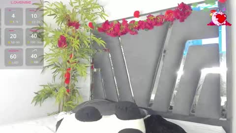 Snapshot of black_rose02 chatting on March 2025 11:47:02 AM B L A C K R O S E online show from March 2025 11:47:02 AM
