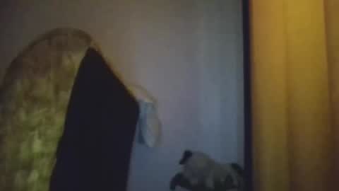 black african online show from November 2025 05:29:01 AM