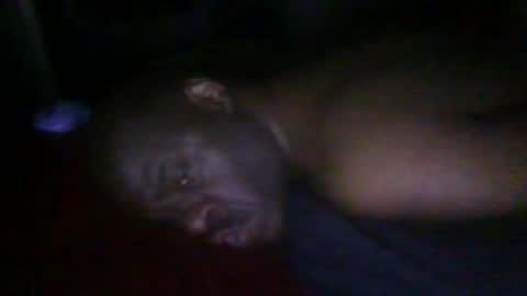 blackteddybear online show from February 2026 06:20:02 AM