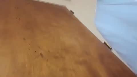 blackthickdickdaddy online show from April 2026 03:44:01 PM