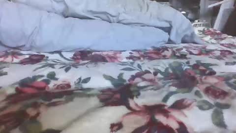 Snapshot of blame1269 chatting on October 2025 07:07:02 PM blame1269 online show from October 2025 07:07:02 PM