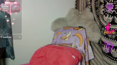 Snapshot of blannabanana chatting on January 2025 03:33:01 PM Blanna online show from January 2025 03:33:01 PM