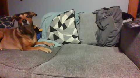 Snapshot of blaw_1321 chatting on January 2025 05:37:02 AM blaw_1321 online show from January 2025 05:37:02 AM