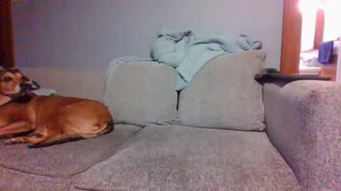 Snapshot of blaw_1321 chatting on March 2025 09:59:02 PM blaw_1321 online show from March 2025 09:59:02 PM