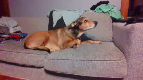 Snapshot of blaw_1321 chatting on March 2025 05:59:02 AM blaw_1321 online show from March 2025 05:59:02 AM