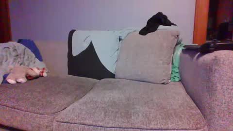 Snapshot of blaw_1321 chatting on March 2025 02:29:01 AM blaw_1321 online show from March 2025 02:29:01 AM