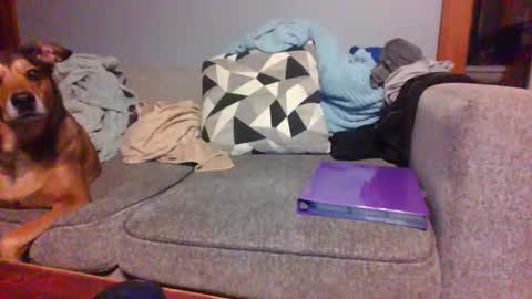 Snapshot of blaw_1321 chatting on September 2025 07:43:01 AM blaw_1321 online show from September 2025 07:43:01 AM