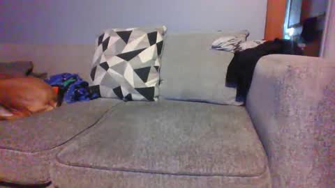 Snapshot of blaw_1321 chatting on September 2025 08:25:01 PM blaw_1321 online show from September 2025 08:25:01 PM