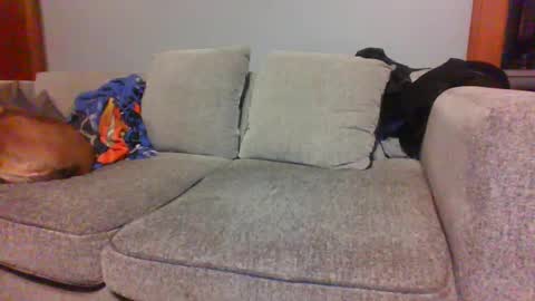 Snapshot of blaw_1321 chatting on October 2025 06:22:02 AM blaw_1321 online show from October 2025 06:22:02 AM