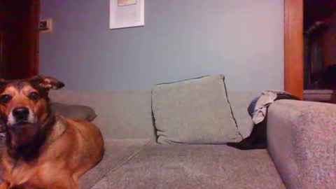 Snapshot of blaw_1321 chatting on October 2025 07:20:02 AM blaw_1321 online show from October 2025 07:20:02 AM