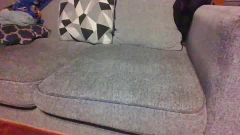 Snapshot of blaw_1321 chatting on November 2025 08:47:01 AM blaw_1321 online show from November 2025 08:47:01 AM