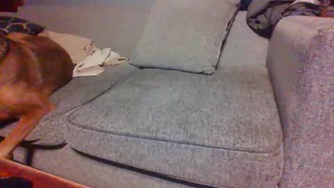 blaw_1321 online show from April 2026 07:25:02 AM