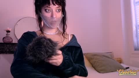 Cassandre online show from October 2025 12:15:01 PM