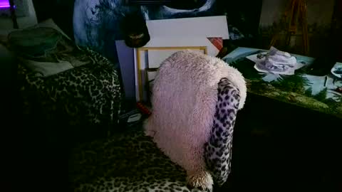 blindsurfer780299 online show from May 2026 06:09:01 PM