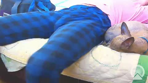 Snapshot of blondieblu89 chatting on February 2025 10:00:02 PM First Time College Boy online show from February 2025 10:00:02 PM