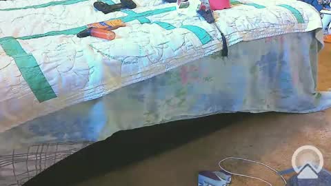 Snapshot of blondieblu89 chatting on February 2025 02:24:02 PM First Time College Boy online show from February 2025 02:24:02 PM