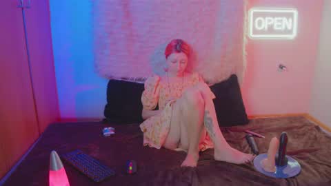 Bloom online show from February 2026 03:40:02 PM