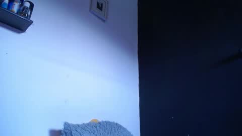 bunbury online show from September 2025 12:40:01 PM