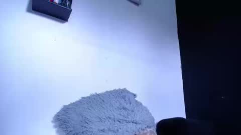 bunbury online show from September 2025 01:47:02 PM