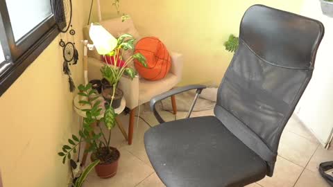 FLORAA online show from January 2025 04:43:01 PM