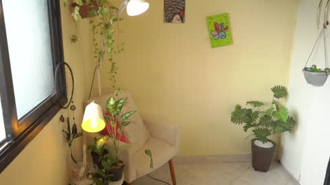 FLORAA online show from January 2025 12:33:01 PM