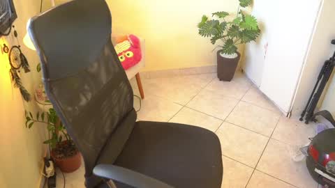 FLORAA online show from February 2025 10:34:01 AM