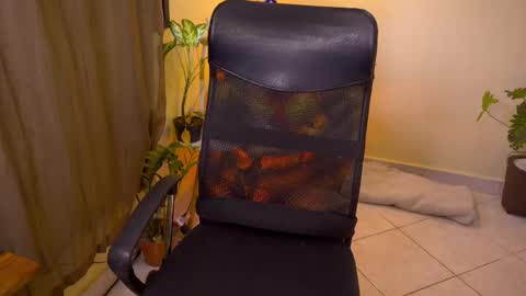 FLORAA online show from October 2025 10:19:02 AM