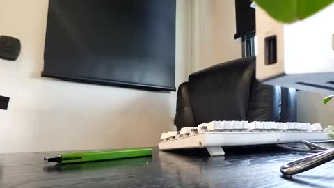 Snapshot of bmorganne420 chatting on November 2025 05:24:01 PM MamaMorgan online show from November 2025 05:24:01 PM