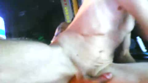 Snapshot of bmurray13kc2 chatting on October 2025 08:46:01 AM bmurray13kc2 online show from October 2025 08:46:01 AM