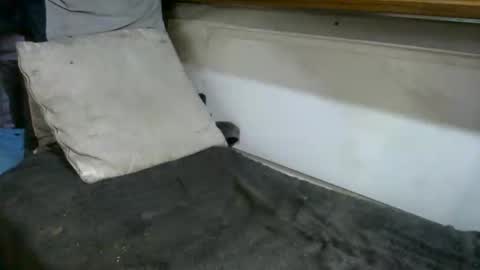 boatfun56 online show from February 2026 11:00:01 PM