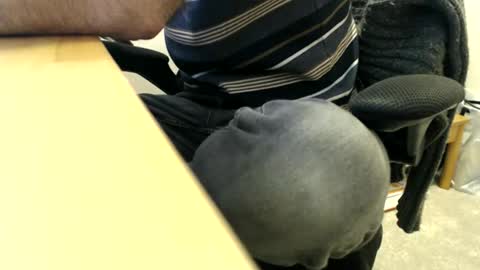 bobbuild online show from March 2026 08:26:01 AM