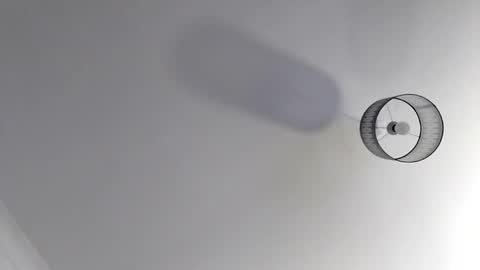 bobby160968 online show from November 2025 07:03:03 PM